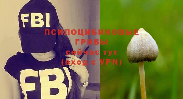 крисы Верхнеуральск