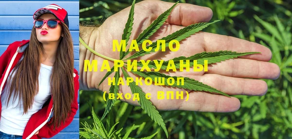 индика Приозерск