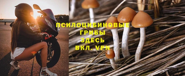 герыч Верхний Тагил