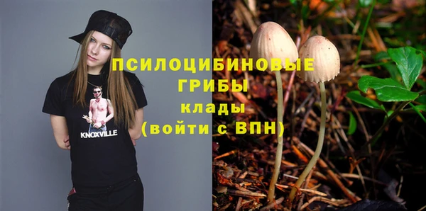 герыч Верхний Тагил