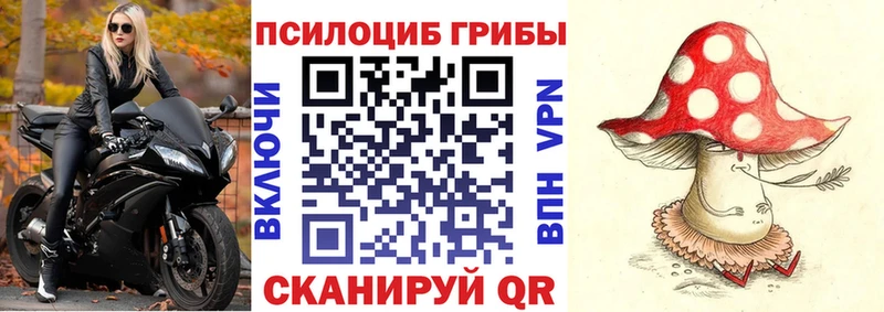 Галлюциногенные грибы GOLDEN TEACHER  KRAKEN вход  Губкин 